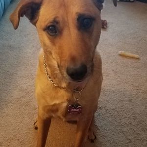 Meet your Posher, Kellie